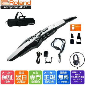 【レビュー投稿で約￥6,000相当ヘッドホンプレゼント☆】Roland ローランド Digital Wind Instrument デジタル管楽器 専用キャリングバッグ付き Aerophone エアロフォン AE-20