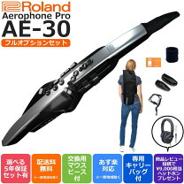 楽天市場】ae-30 rolandの通販