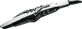 【アウトレット特価祭り】【在庫残り僅か】【箱傷アウトレット・未開封新品】Roland ローランド Digital Wind Instrument デジタル管楽器 専用キャリングバッグ付き Aerophone エアロフォン AE-20【レビュー投稿でクリーナープレゼント☆】