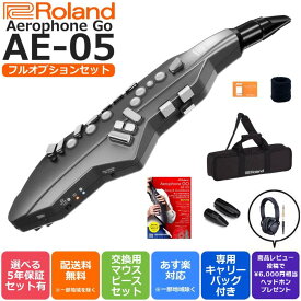 【レビュー投稿で約￥6,000相当ヘッドホンプレゼント☆】【すぐに使えるフルオプションセット】Roland ローランド Digital Wind Instrument デジタル管楽器 専用キャリングバッグ付き Aerophone GO エアロフォン ゴー AE-05