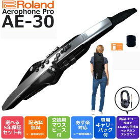 【レビュー投稿で約￥6,000相当ヘッドホンプレゼント☆】Roland ローランド Digital Wind Instrument デジタル管楽器 専用キャリングバッグ付き Aerophone Pro エアロフォン プロ AE-30