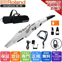 楽天市場】エアロフォン ae-20 島村楽器の通販