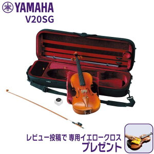 バイオリン 弓」の人気商品一覧 | 安い商品を通販サイトから探す 