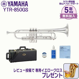 �y5�N�ۏ؁z�y�ŋ������z���Ή��zYAMAHA ���}�n�Ǌy�� YTR-850GS�g�����y�b�g �J�X�^�����f�� B��y���r���[���e�ł������p�N���X�v���[���g�z