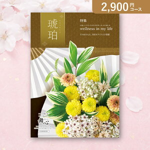 ԂEjɁIJ^OMtg Si܂jy2900~R[Xz߁i͂j(J^OMtg oYj oYj j j j TԂ)yyMtz