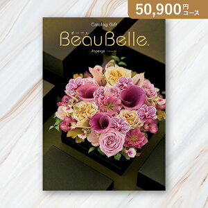 ԂEjɁIJ^OMtg {[xy50900~R[XzAXyW(J^OMtg oYj oYj j j j TԂ)yyMtz