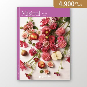 ԂEjɁIJ^OMtg ~Xgy4900~R[XzAjJ(J^OMtg oYj oYj j j j TԂ)yyMtz