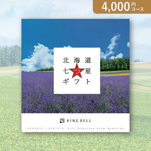 ԂEjɁIJ^OMtg kCMtgy4000~R[XzsJ(J^OMtgO oYj oYj j j j TԂ)yyMtz