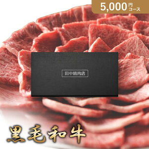 ԂEjɁIJ^OMtg cX ጎԁy5000~R[Xzјa(J^OMtgO oYj oYj j j j TԂ)yyMtz