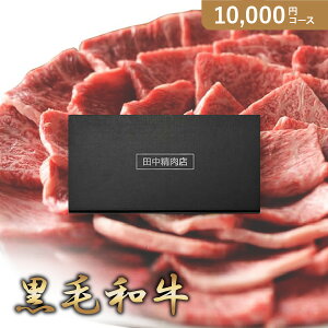 ԂEjɁIJ^OMtg cX ጎԁy10000~R[Xzјa(J^OMtgO oYj oYj j j j TԂ)yyMtz