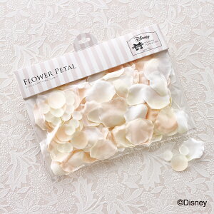 yopizV[Nbgt[y^g~bL[h( EFfBO I EFJXy[X uC_ p[eB[ 񎟉 fBYj[)