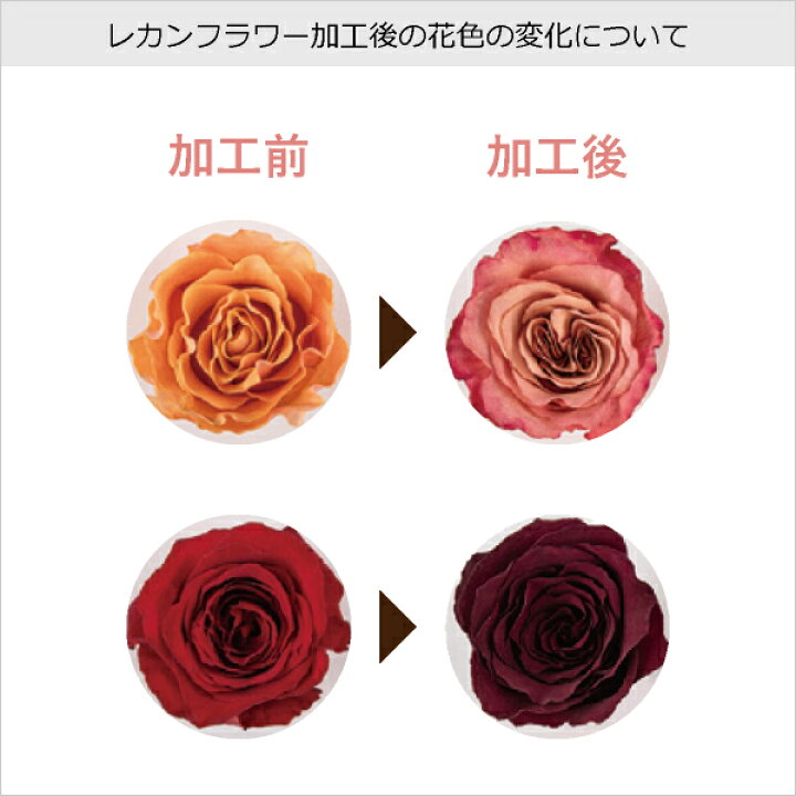 楽天市場 押し花ブーケ 立体ドライブーケ レカンフラワー 送料無料 レカンフラワー ブルーミングボトルs 結婚式 ウェディング 披露宴 ウェルカムスペース ブライダル パーティー 二次会 ブーケ 押し花 Piary ピアリー 楽天市場店