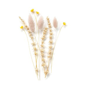 yؖzVygt[ix[WsNjǉpt[ 10{(ؖ  EFfBO I EFJXy[X uC_ p[eB[ 񎟉 oObY o