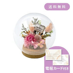 dEjdmKXh[AW sNn y dEjd MtgzvU[uht[ hCt[ EFfBO  j j   j 