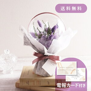 yŒZoׁzdEjdmhCt[o[u[P p[vn y dEjd Mtgz o[u[P vU[uht[ hCt[ EFfB