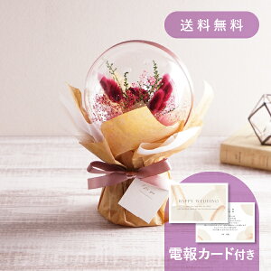 yŒZoׁzdEjdmhCt[o[u[P bhn y dEjd Mtgz o[u[P vU[uht[ hCt[ EFfB