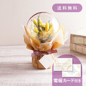 yŒZoׁzdEjdmhCt[o[u[P CG[n y dEjd Mtgz o[u[P vU[uht[ hCt[ EFfB