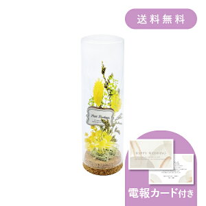 dEjdmRN{gAW CG[n y dEjd MtgzvU[uht[ hCt[ EFfBO  j j   j