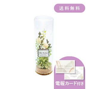 dEjdmRN{gAWO[n y dEjd MtgzvU[uht[ hCt[ EFfBO  j j   j