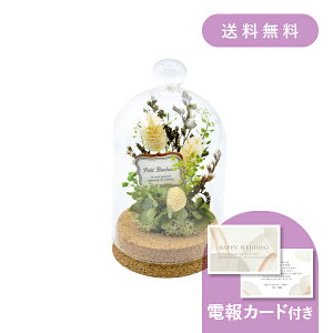 dEjdmRNh[AWO[n y dEjd MtgzvU[uht[ hCt[ EFfBO  j j   j