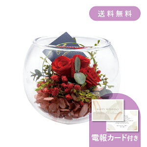 dEjdmKXAW bhn y dEjd MtgzvU[uht[ hCt[ EFfBO  j j   j v[