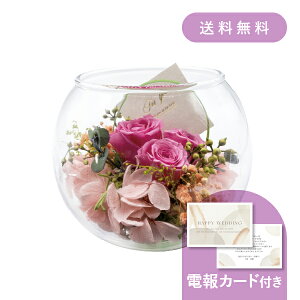 dEjdmKXAW sNn y dEjd MtgzvU[uht[ hCt[ EFfBO  j j   j v[