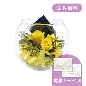 dEjdmKXAW CG[n y dEjd MtgzvU[uht[ hCt[ EFfBO  j j   j v