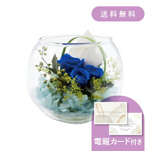 dEjdmKXAWu[n y dEjd MtgzvU[uht[ hCt[ EFfBO  j j   j v[