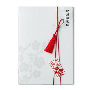 vX1i NΕ~10A(N o o j Mtg  EFfBO EGfBO oYj Ԃ Cj)