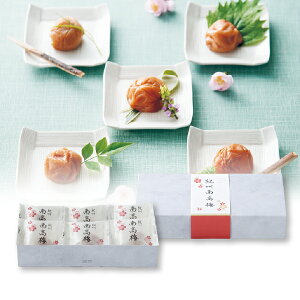 vX1i Nܖ IB썂~ 6(N o o j Mtg  EFfBO EGfBO oYj Ԃ Cj)