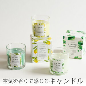 GREEN OASIS OXLh[tOX XeBbN fBt[U[ F  VOLUSPA JAPONICA A}  HXp Vv  Mtg v[g  ޏ j