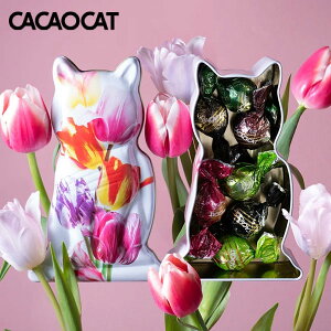 eBLbg ~bNX 7 TULIP(HMtg `R DADACA JJILbg L mَq َq Mtg 蕨  Ԃ j j lߍ킹 z  ΂܂  j 