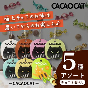CACAOCAT `R[g2肨y݃A\[g 5(~Mtg Ε N Hו `R DADACA JJILbg L mَq َq Mtg 蕨  Ԃ j j lߍ킹 z 