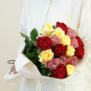 yYnzoԑ GKg~bNX 18{v[g  ԑ Mtg ̓Mtg ̓v[g ͂͂̓ IV p av ̓  o