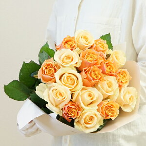 yYnzoԑ IW~bNX 18{v[g  ԑ Mtg ̓Mtg ̓v[g ͂͂̓ IV p av ̓  o