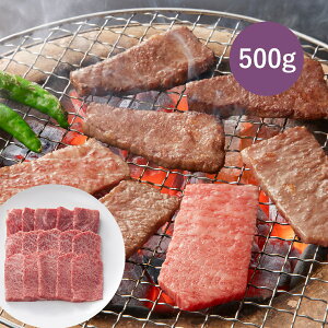 ܂悵 ㋍ ēpi[Xj500g( r[t a A5 ~ јa Ă Ԃ 3`4lO O Mtg v[g  Y Y   䒆 