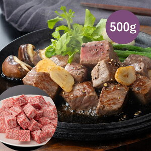 ܂悵 ㋍ TCRXe[LiT[Cj500g( r[t a A5 јa ~ 3`4lO O Mtg v[g  Y Y   䒆  j 