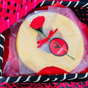 Yn{ăoE(o[N[w oEN[w  َq mَq XC[c Ăَq lߍ킹  Mtg v[g O Hו j j   