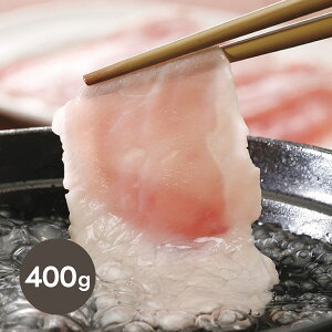 { SPF [XXCXi400gj(~Mtg Ε N Hו O Hו Hi ؓ 蕨 Mtg v[g j j Ԃ   oY z Vz  l