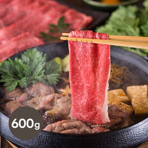 _ˋ₫pi 600gj(~Mtg Ε N Hו O Hו Hi  蕨 Mtg v[g j j Ԃ   oY z Vz  lC)