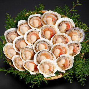 kCYقĕЊLi20j(~Mtg Ε N Hו O Hו Hi z^e 蕨 Mtg v[g j j Ԃ   oY z Vz  lC)