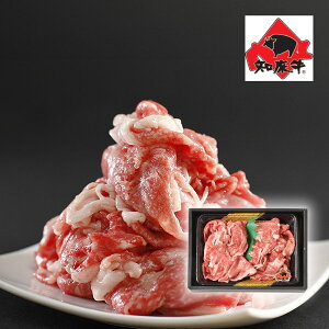 m ؂藎Ƃ 300g(HMtg hV̓ O Hi  BBQ ē  Mtg v[g 蕨 j j j j oYj yY Ԃ  Cj ސEj z