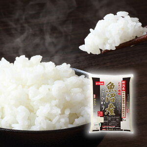 VYЂ 2kg( Mtg v[g 蕨 j j j j oYj yY Ԃ  Cj ސEj zj A  b lC )