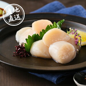 YnOkCYقĊLv[g Mtg HMtg OMtg CNMtg z^e ق قĊL hg Yn