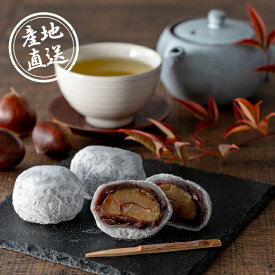 産地直送グルメ│新杵堂 まるごと渋皮栗大福6個入(春ギフト 食べ物 和菓子 お菓子 2026 おやつ スイーツ ギフト プレゼント 贈り物 お祝い 内祝い 結婚 出産 イベント パーティー 新築 退職 転職 引越し 還暦 人気 おすすめ)