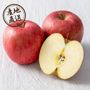 y25N12{甭zYnO쌧Y Tӂi5kgj(~Mtg Ε N Hו t[c ʕ 蕨 j j j yY Ԃ  zj A lߍ