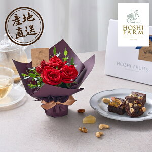 YnOzVt@[ ~jAWg[WzVt[cґuEj[3(HMtg mَq XC[c  ԑ t[ Mtg 蕨 j j j yY 