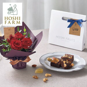 zVt@[ ~jAWg[WzVt[cґuEj[3(mَq َq  ԑ t[Mtg Mtg 蕨 j j ސEj  b lC 