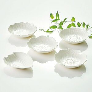 y^@v[gZbg(Ve[uEFA e[uEFA)