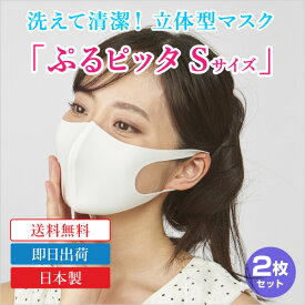 楽天市場 ピッタマスク 小さめの通販